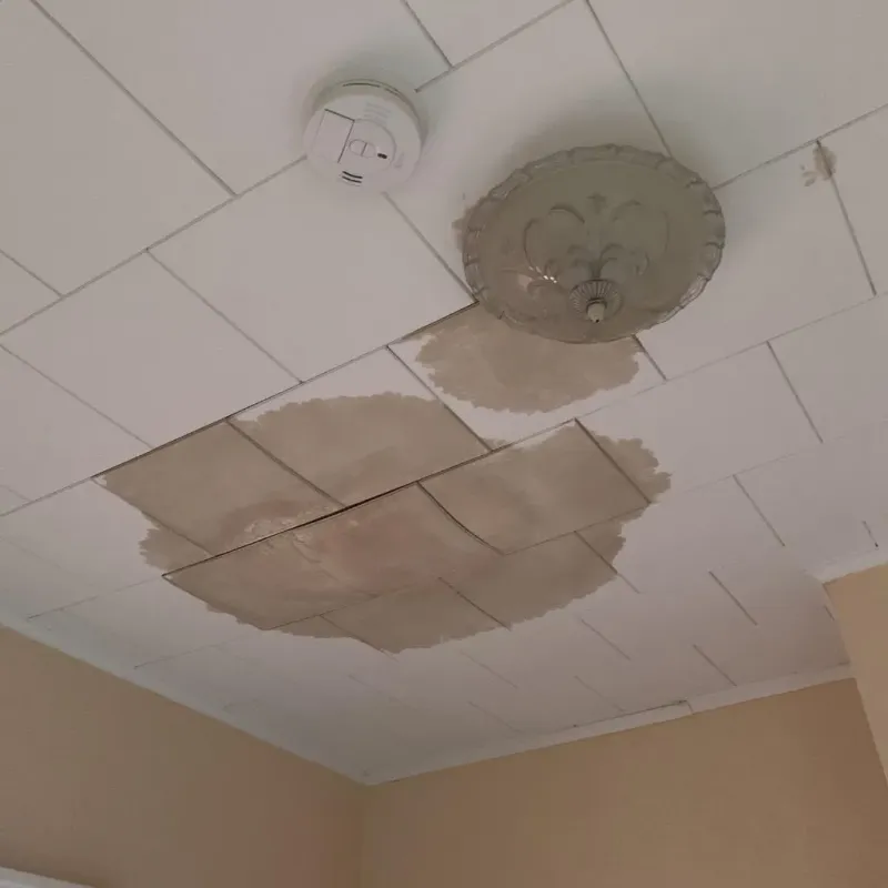 Ceiling Water Damage Repair in Cedar City, UT