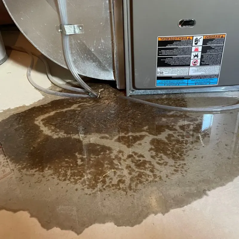 Pipe Burst and Leak Restoration in Cedar City, UT