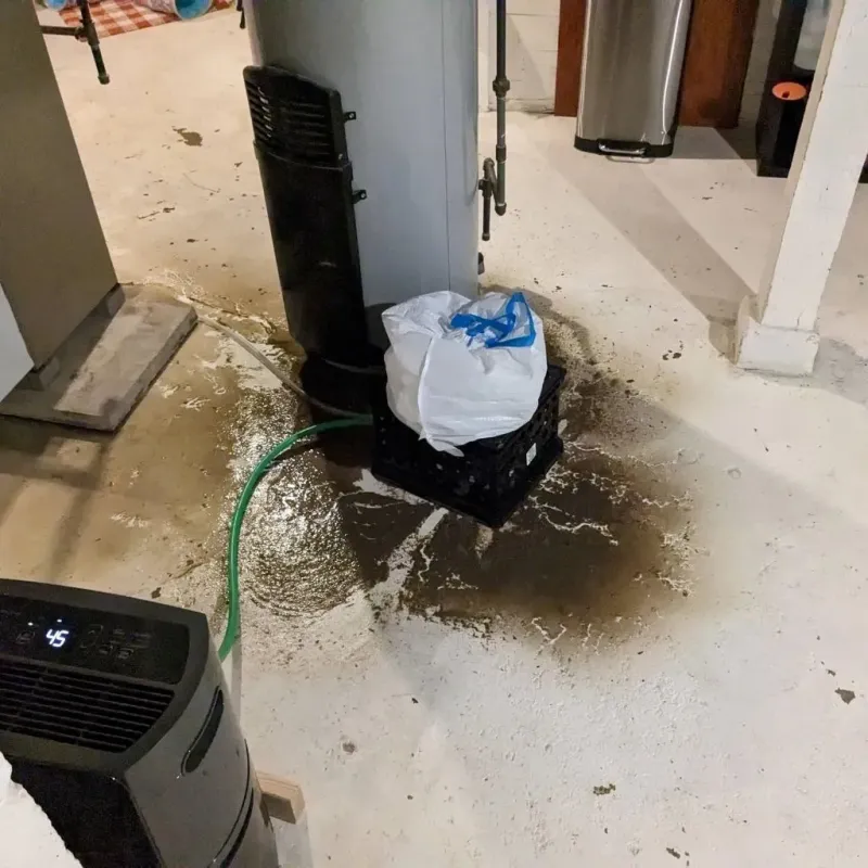 Sewage Backup Cleanup Service in Cedar City, UT